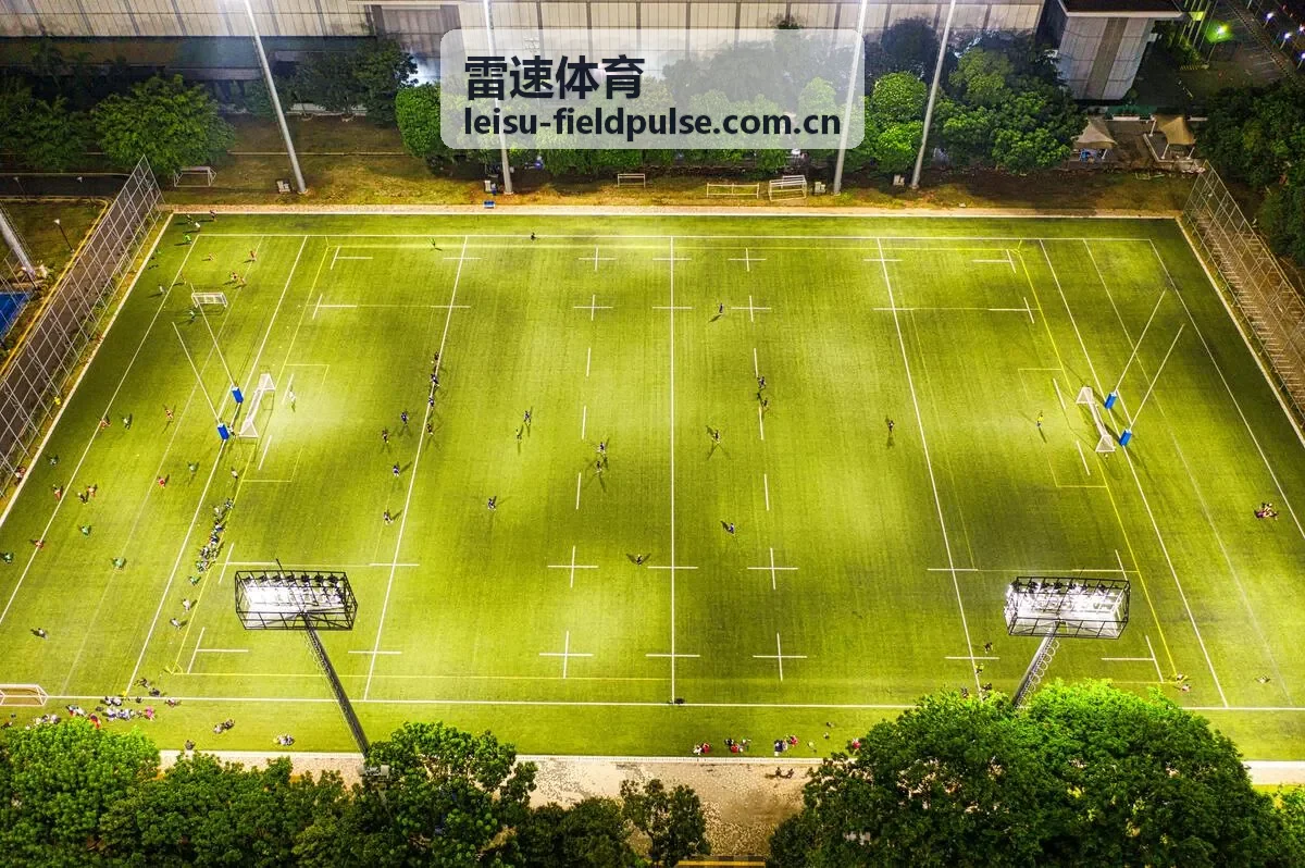 雷速体育场景导览中的观赛内容